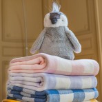 Paulo | The Penguin